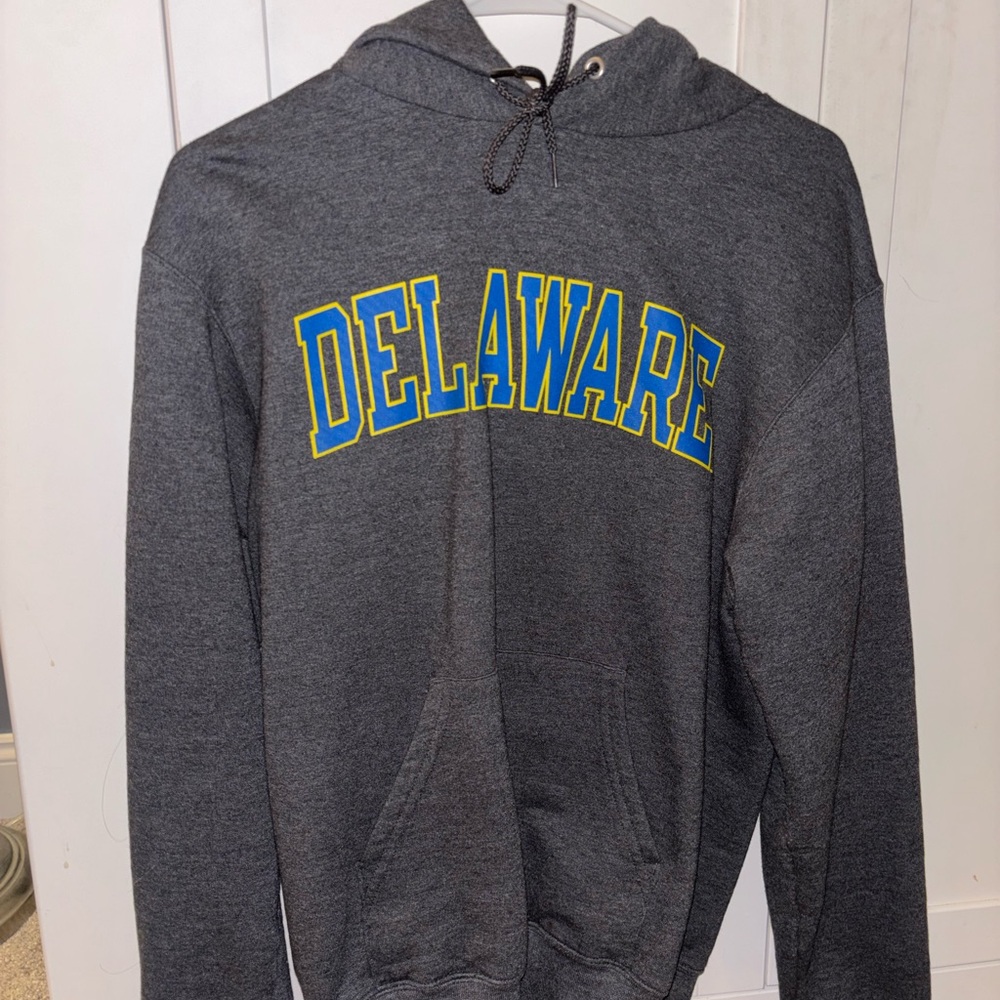 Champion University of Delaware Hoodie